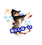 トイマン☆うーさん時々たつパパ（個別スタンプ：22）