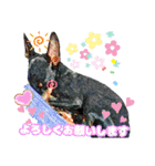 トイマン☆うーさん時々たつパパ（個別スタンプ：23）