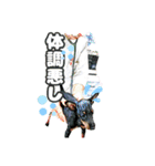 トイマン☆うーさん時々たつパパ（個別スタンプ：24）