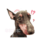 トイマン☆うーさん時々たつパパ（個別スタンプ：29）
