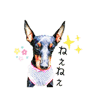 トイマン☆うーさん時々たつパパ（個別スタンプ：30）