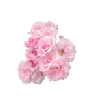 シンプルなバラの花スタンプ（個別スタンプ：5）