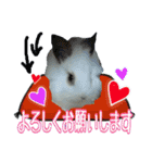 ♡うさぎの勘助♡（個別スタンプ：2）