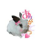 ♡うさぎの勘助♡（個別スタンプ：3）