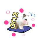 ♡うさぎの勘助♡（個別スタンプ：5）