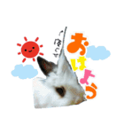 ♡うさぎの勘助♡（個別スタンプ：6）