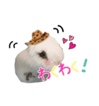 ♡うさぎの勘助♡（個別スタンプ：7）