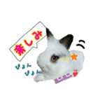 ♡うさぎの勘助♡（個別スタンプ：8）