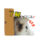 ♡うさぎの勘助♡（個別スタンプ：10）