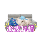 ♡うさぎの勘助♡（個別スタンプ：11）