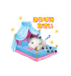 ♡うさぎの勘助♡（個別スタンプ：14）