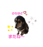 まるこ11（個別スタンプ：2）