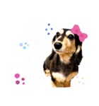 まるこ11（個別スタンプ：5）