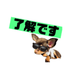 アロンくんはイケイケ（個別スタンプ：1）