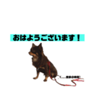 アロンくんはイケイケ（個別スタンプ：2）