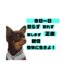 アロンくんはイケイケ（個別スタンプ：5）