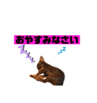 アロンくんはイケイケ（個別スタンプ：6）