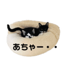 ナナマツの日々（個別スタンプ：11）