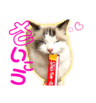 メルちゃんデビュー（個別スタンプ：1）
