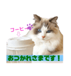 メルちゃんデビュー（個別スタンプ：3）