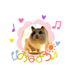 メルちゃんデビュー（個別スタンプ：7）