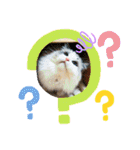 メルちゃんデビュー（個別スタンプ：8）