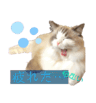 メルちゃんデビュー（個別スタンプ：9）