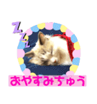 メルちゃんデビュー（個別スタンプ：11）