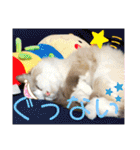メルちゃんデビュー（個別スタンプ：12）