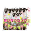 メルちゃんデビュー（個別スタンプ：14）