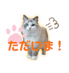 メルちゃんデビュー（個別スタンプ：15）