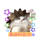 メルちゃんデビュー（個別スタンプ：17）