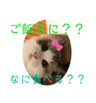 メルちゃんデビュー（個別スタンプ：18）