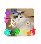 メルちゃんデビュー（個別スタンプ：19）