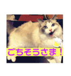 メルちゃんデビュー（個別スタンプ：27）