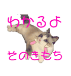 メルちゃんデビュー（個別スタンプ：29）