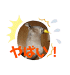 メルちゃんデビュー（個別スタンプ：30）