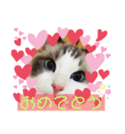 メルちゃんデビュー（個別スタンプ：32）