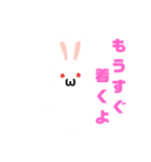 白うさだるまスタンプ（個別スタンプ：13）
