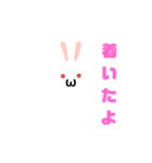 白うさだるまスタンプ（個別スタンプ：14）