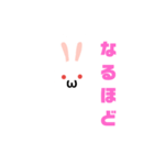 白うさだるまスタンプ（個別スタンプ：16）