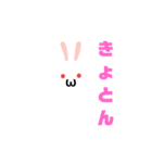 白うさだるまスタンプ（個別スタンプ：29）