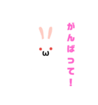 白うさだるまスタンプ（個別スタンプ：37）