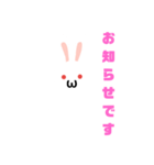 白うさだるまスタンプ（個別スタンプ：39）