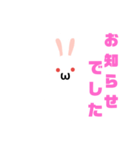 白うさだるまスタンプ（個別スタンプ：40）