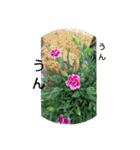 花とハムスター（個別スタンプ：6）