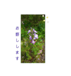 花とハムスター（個別スタンプ：9）