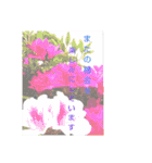 花とハムスター（個別スタンプ：24）