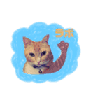 ミッシェルと3匹の猫（個別スタンプ：2）
