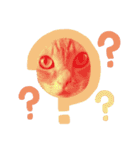 ミッシェルと3匹の猫（個別スタンプ：11）